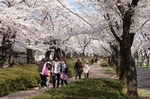 開成山公園